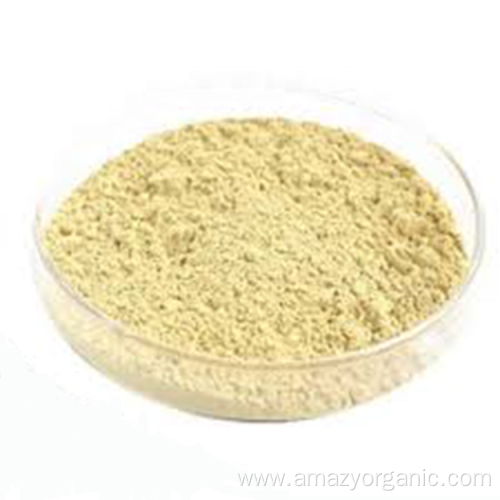 Organic Chinese Red Date Extract Powder